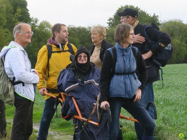 Randonnée joëlettes à Feluy