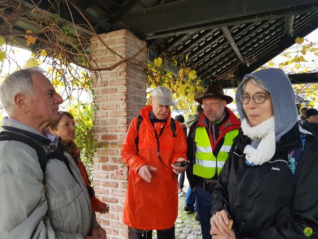 Randonnée joëlettes à Feluy