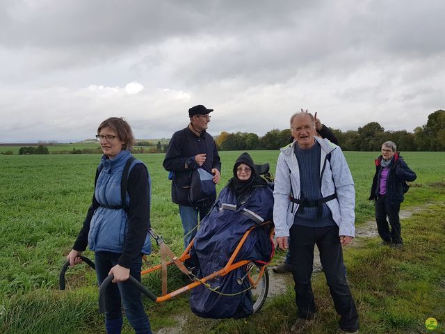 Randonnée joëlettes à Feluy