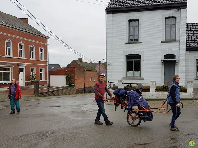 Randonnée joëlettes à Feluy