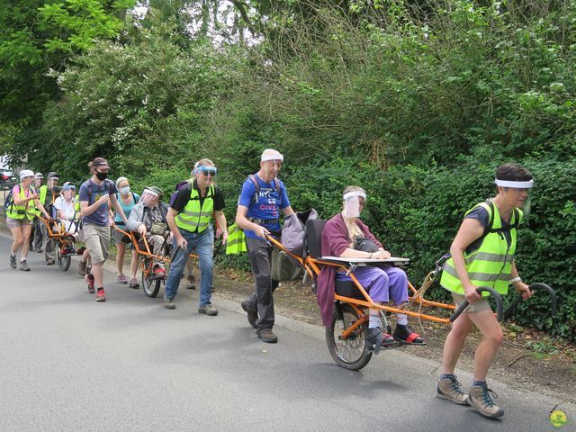 Randonnée joëlettes à Neerijse