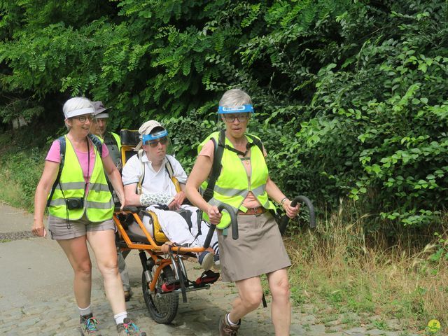 Randonnée joëlettes à Neerijse