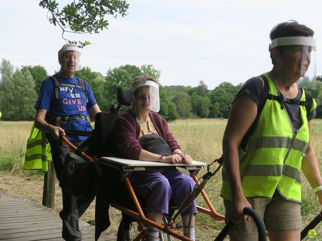 Randonnée joëlettes à Neerijse