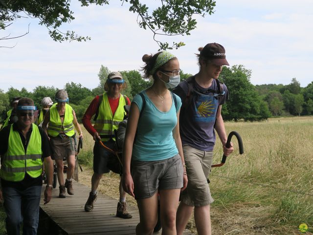 Randonnée joëlettes à Neerijse