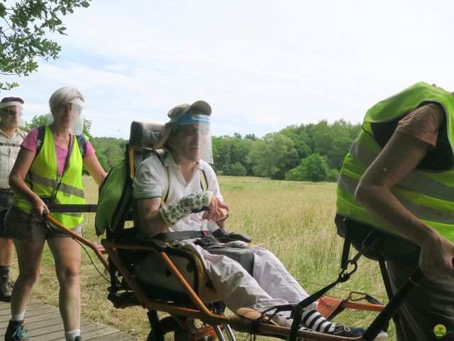 Randonnée joëlettes à Neerijse