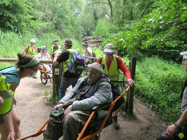 Randonnée joëlettes à Neerijse