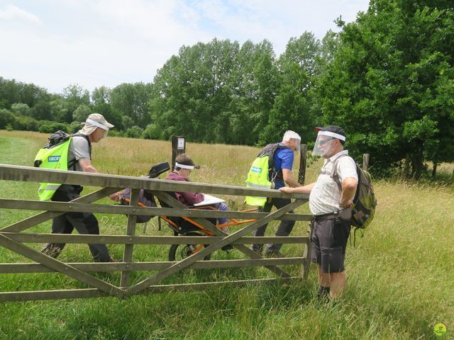 Randonnée joëlettes à Neerijse