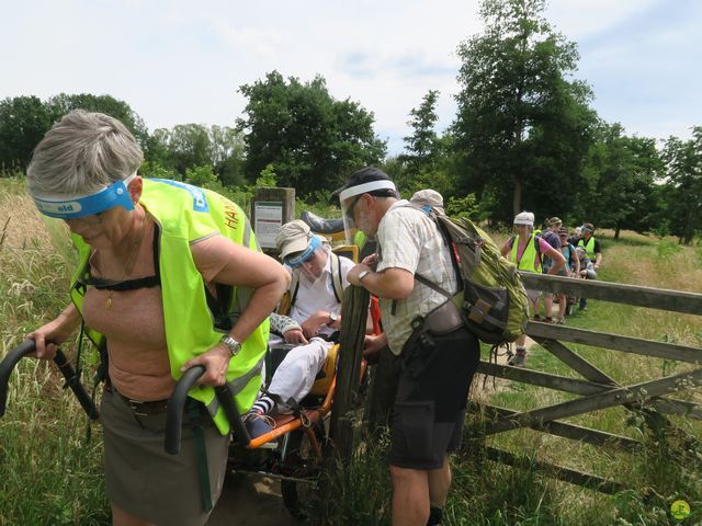 Randonnée joëlettes à Neerijse