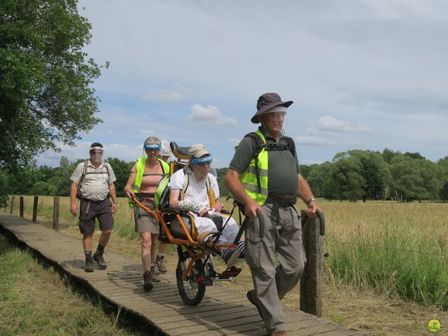 Randonnée joëlettes à Neerijse