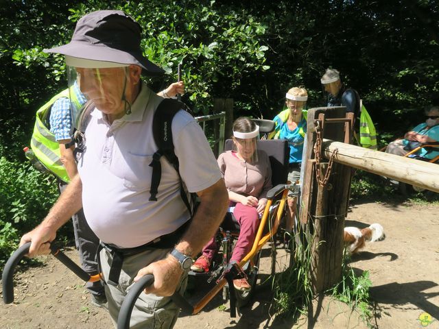 Randonnée joëlettes à Neerijse