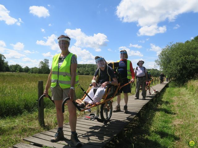 Randonnée joëlettes à Neerijse