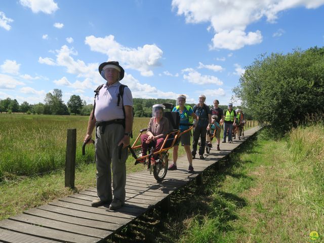 Randonnée joëlettes à Neerijse