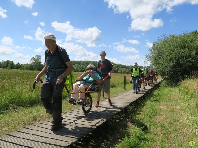 Randonnée joëlettes à Neerijse