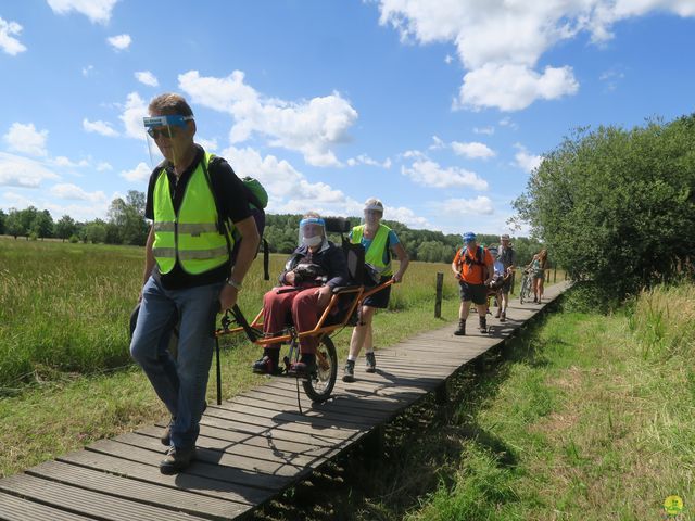 Randonnée joëlettes à Neerijse