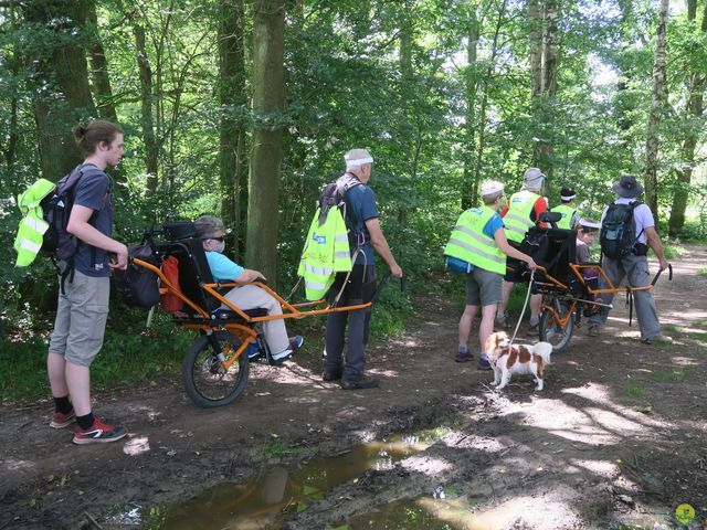 Randonnée joëlettes à Neerijse