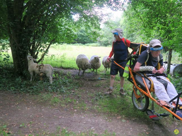 Randonnée joëlettes à Neerijse