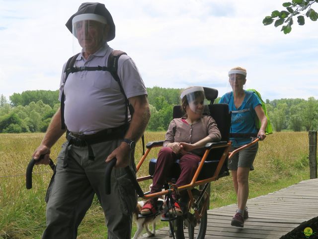 Randonnée joëlettes à Neerijse