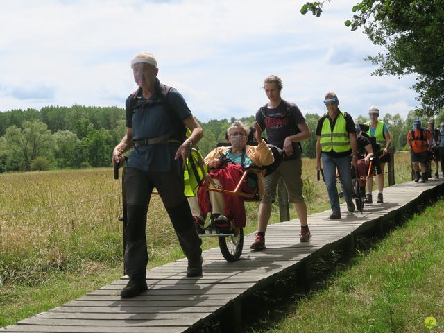 Randonnée joëlettes à Neerijse