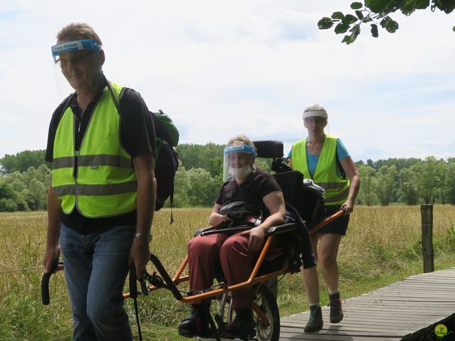 Randonnée joëlettes à Neerijse