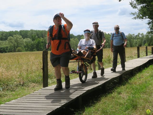 Randonnée joëlettes à Neerijse