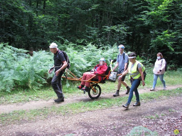 Randonnée joëlettes à Habay-la-Neuve