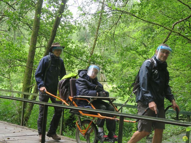 Randonnée joëlettes à Habay