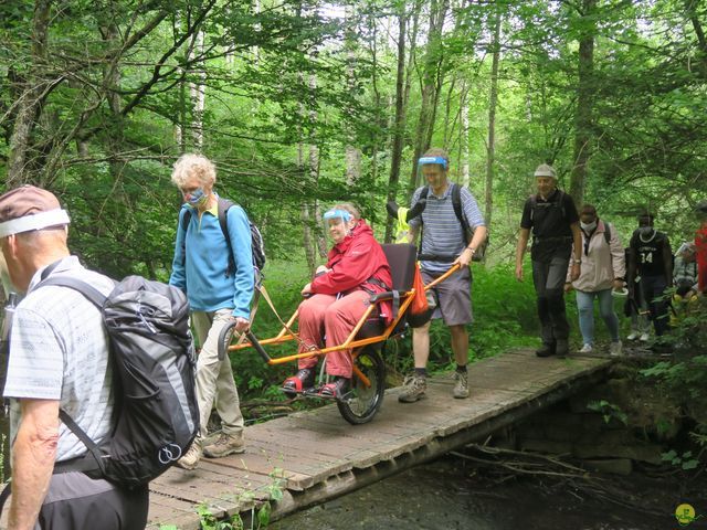 Randonnée joëlettes à Habay