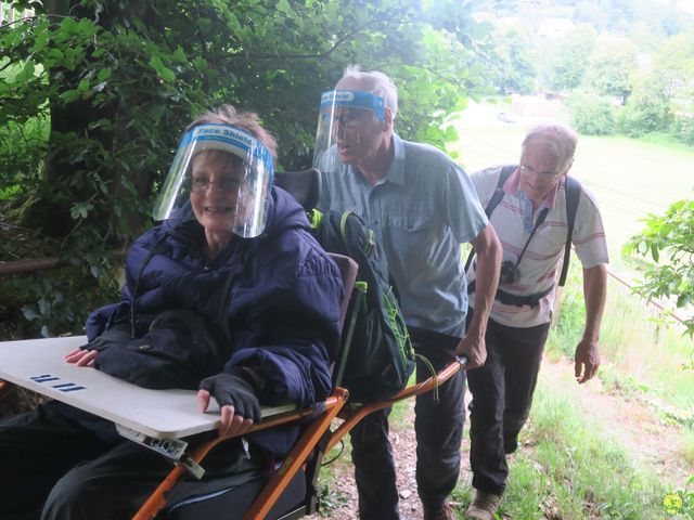 Randonnée joëlettes à Habay