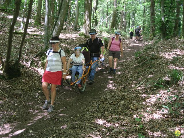 Randonnée joëlettes à Annevoie