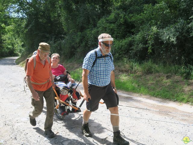 Randonnée joëlettes à Annevoie