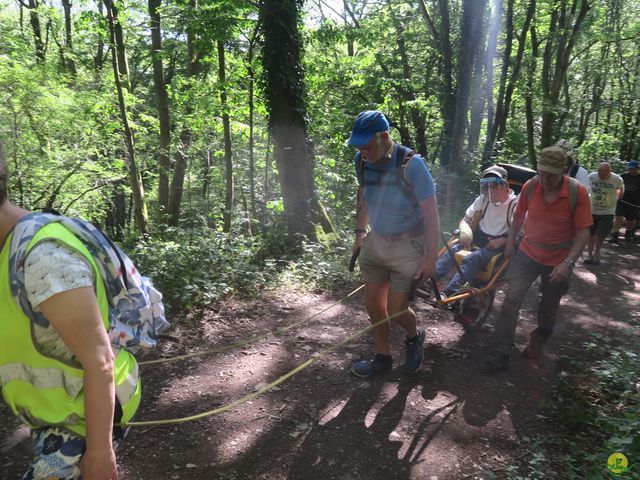 Randonnée joëlettes à Annevoie