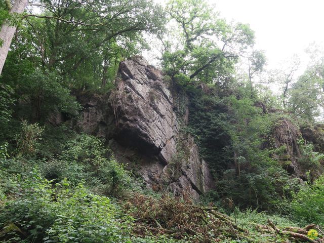 Randonnée joëlettes à Roisin