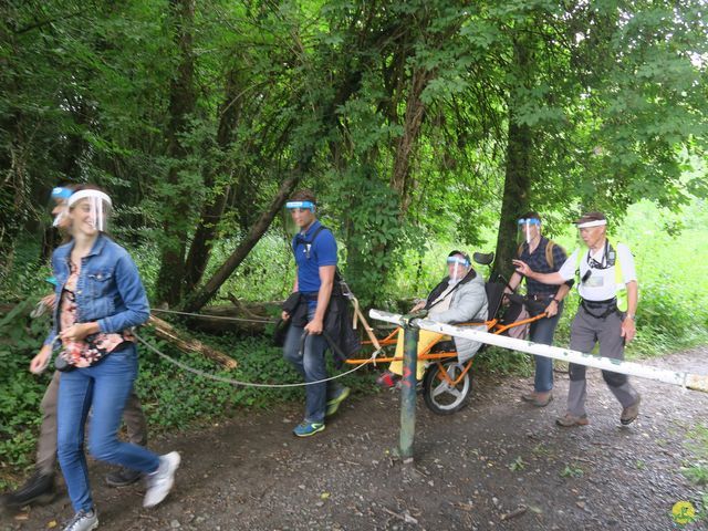 Randonnée joëlettes à Roisin