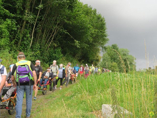 Randonnée joëlettes à Roisin