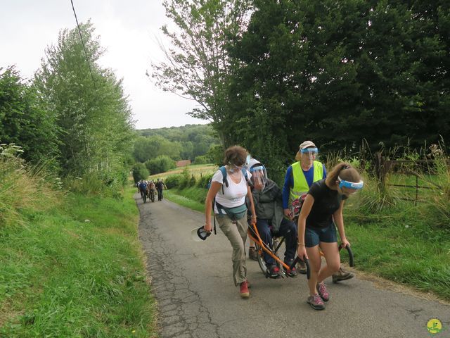 Randonnée joëlettes à Roisin