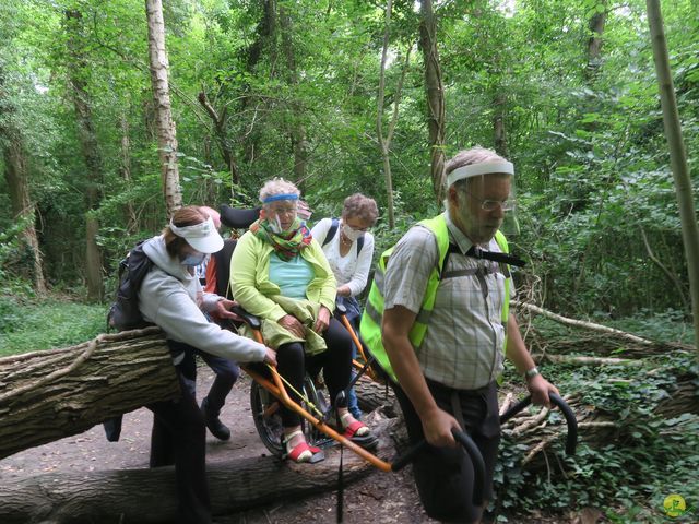 Randonnée joëlettes à Roisin