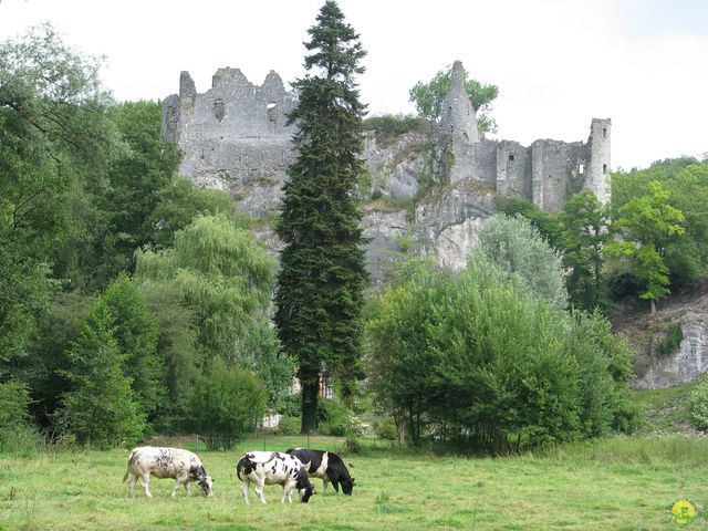 Randonnée joëlettes à Falaën