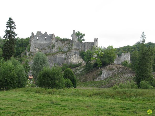 Randonnée joëlettes à Falaën