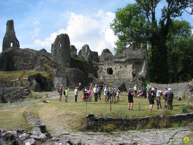 Randonnée joëlettes à Falaën