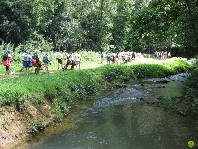 Randonnée joëlettes à Falaën