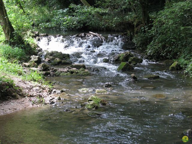 Randonnée joëlettes à Falaën