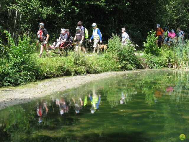 Randonnée joëlettes à Falaën