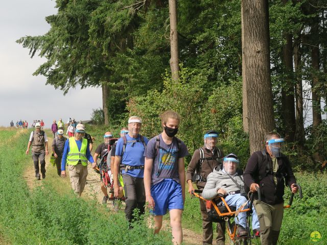 Randonnée joëlettes à Falaën