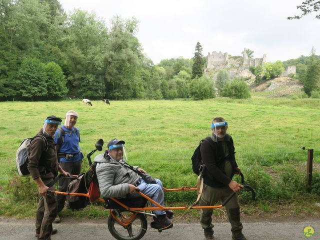 Randonnée joëlettes à Falaën