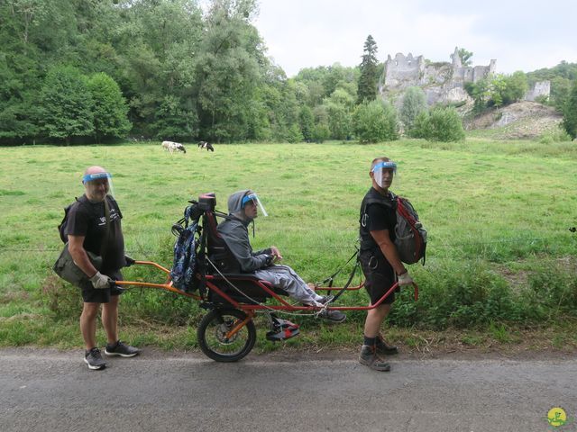 Randonnée joëlettes à Falaën