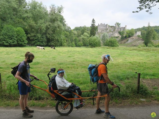 Randonnée joëlettes à Falaën