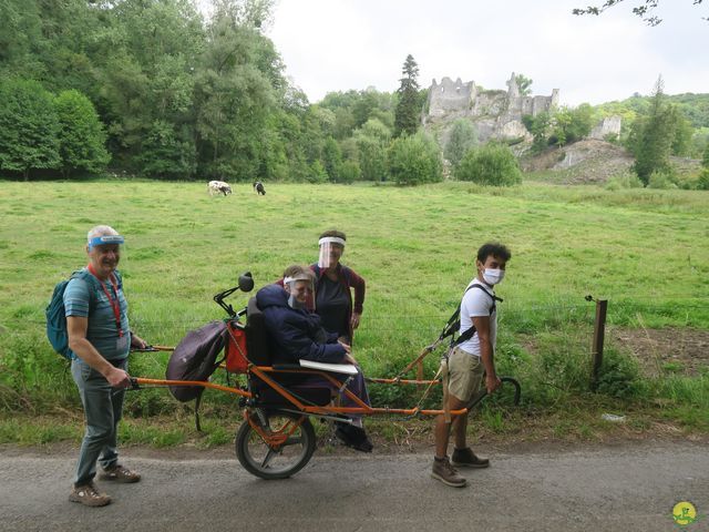 Randonnée joëlettes à Falaën