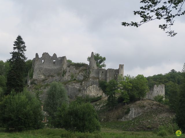 Randonnée joëlettes à Falaën