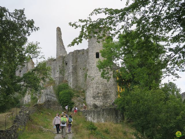 Randonnée joëlettes à Falaën