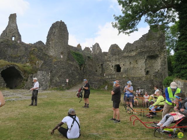 Randonnée joëlettes à Falaën